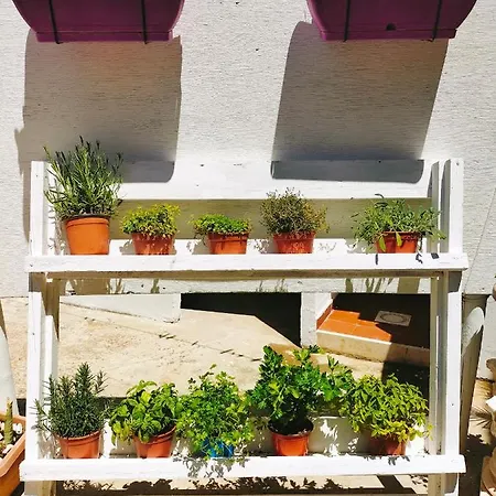 Apartment Cedro