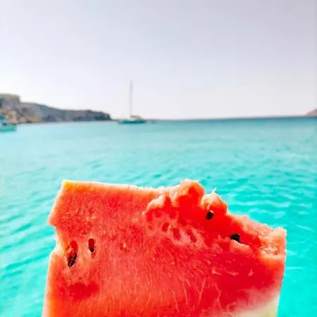 Cedro דירה *